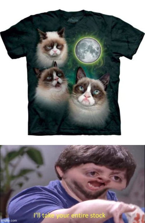 image tagged in i'll take your entire stock,grumpy cat,cat,cats,moon | made w/ Imgflip meme maker