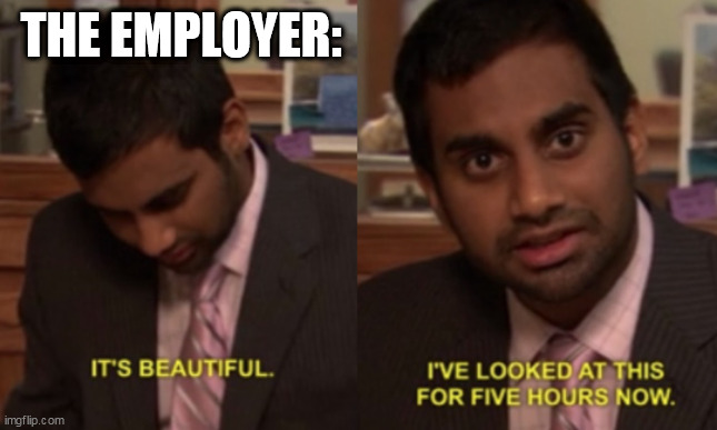 I've looked at this for 5 hours now | THE EMPLOYER: | image tagged in i've looked at this for 5 hours now | made w/ Imgflip meme maker