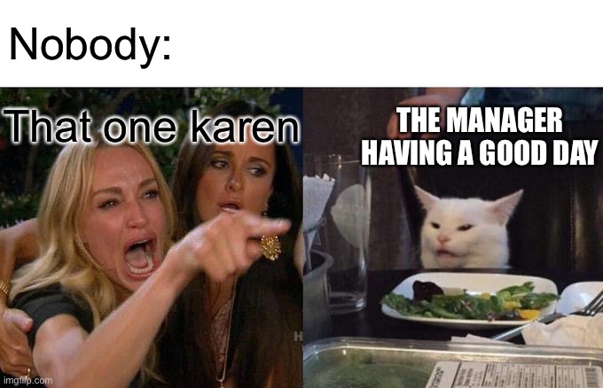 Every manager should carry a shotgun to shoot Karens on sight | Nobody:; THE MANAGER HAVING A GOOD DAY; That one karen | image tagged in memes,woman yelling at cat | made w/ Imgflip meme maker
