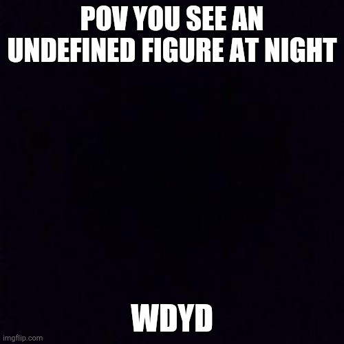 Black screen | POV YOU SEE AN UNDEFINED FIGURE AT NIGHT; WDYD | image tagged in black screen | made w/ Imgflip meme maker