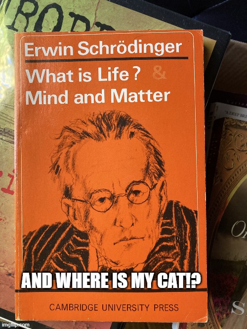 Schrodinger | AND WHERE IS MY CAT!? | image tagged in funny | made w/ Imgflip meme maker