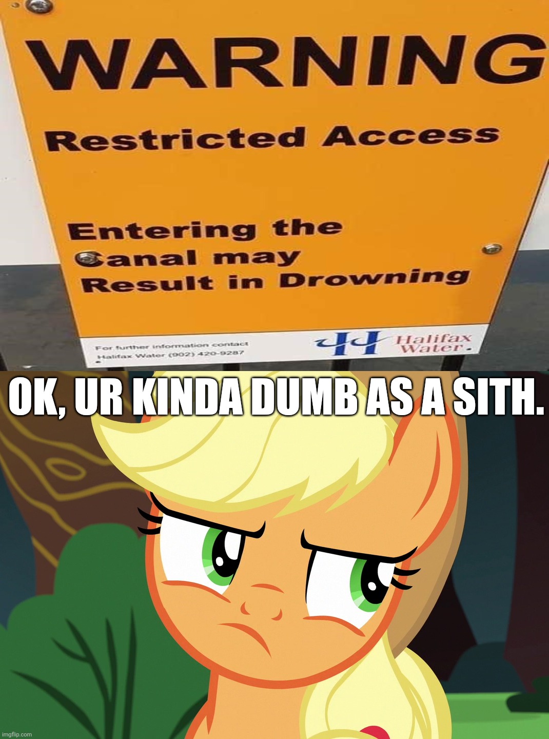 Really? You are joking. | OK, UR KINDA DUMB AS A SITH. | image tagged in funny,you had one job,applejack,task failed successfully | made w/ Imgflip meme maker
