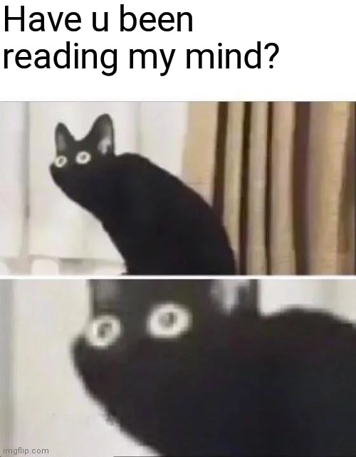 Oh No Black Cat | Have u been reading my mind? | image tagged in oh no black cat | made w/ Imgflip meme maker