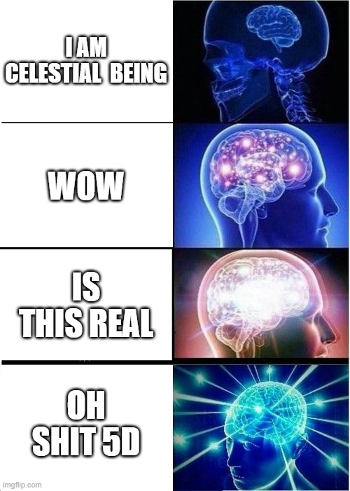 Expanding Brain Meme | I AM CELESTIAL  BEING; WOW; IS THIS REAL; OH SHIT 5D | image tagged in memes,expanding brain | made w/ Imgflip meme maker