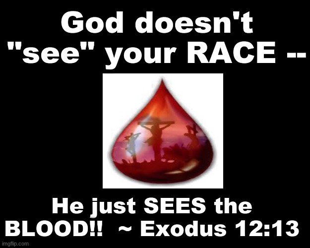 God does not "see" your race - He just sees the Blood |  God doesn't "see" your RACE --; He just SEES the BLOOD!!  ~ Exodus 12:13 | image tagged in biblical | made w/ Imgflip meme maker