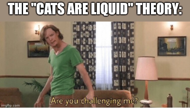 are you challenging me | THE "CATS ARE LIQUID" THEORY: | image tagged in are you challenging me | made w/ Imgflip meme maker