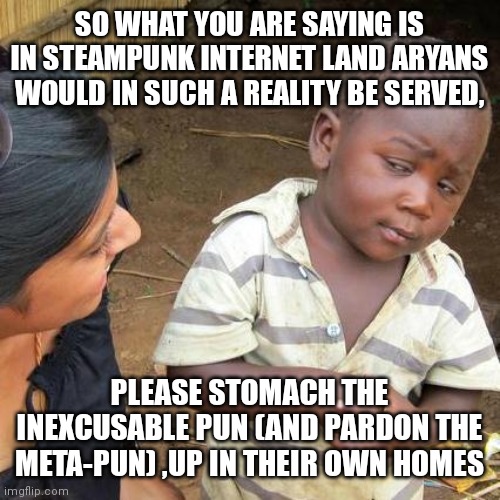 Third World Skeptical Kid Meme | SO WHAT YOU ARE SAYING IS IN STEAMPUNK INTERNET LAND ARYANS WOULD IN SUCH A REALITY BE SERVED, PLEASE STOMACH THE INEXCUSABLE PUN (AND PARDO | image tagged in memes,third world skeptical kid | made w/ Imgflip meme maker