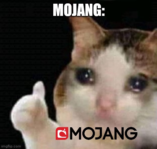 sad thumbs up cat | MOJANG: | image tagged in sad thumbs up cat | made w/ Imgflip meme maker