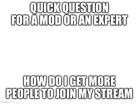 Blank White Template | QUICK QUESTION FOR A MOD OR AN EXPERT; HOW DO I GET MORE PEOPLE TO JOIN MY STREAM | image tagged in blank white template | made w/ Imgflip meme maker