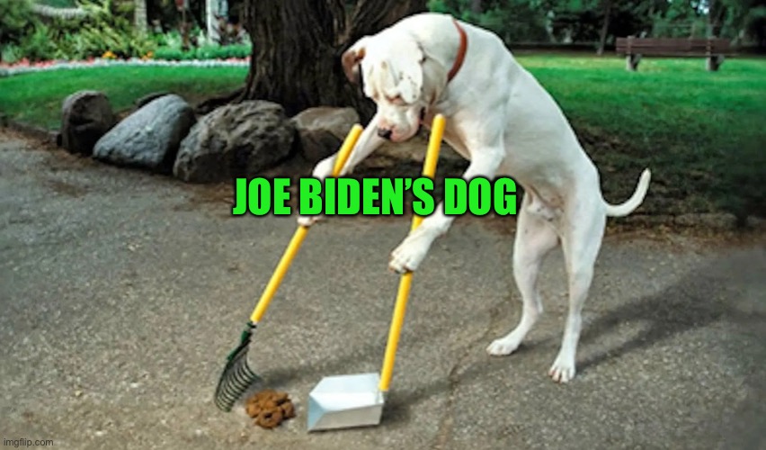 Dog with pooper scooper | JOE BIDEN’S DOG | image tagged in dog with pooper scooper,smilin biden | made w/ Imgflip meme maker