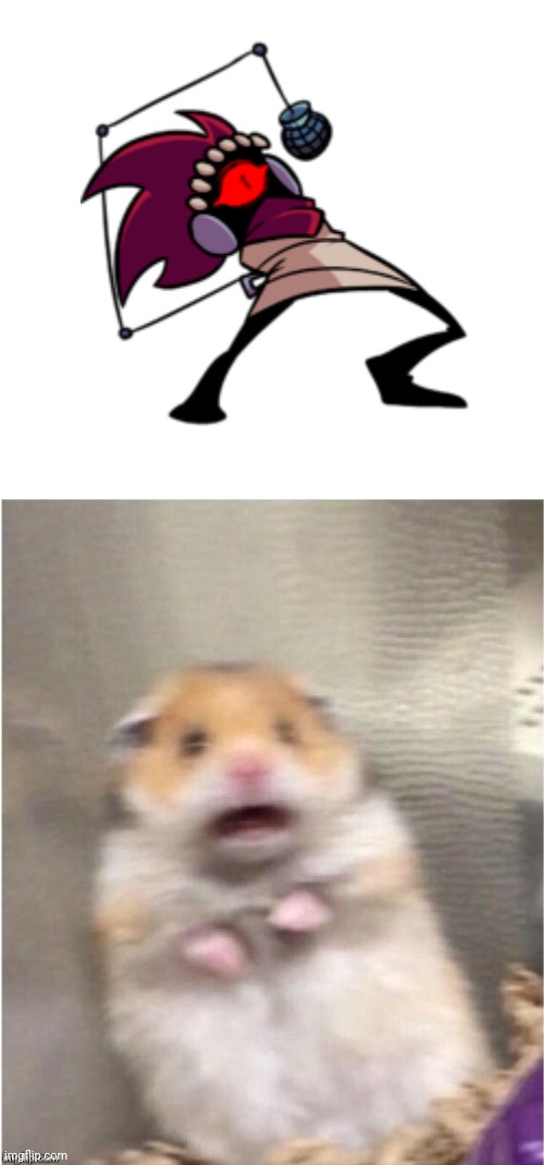 scared hamster reacts to zipper | image tagged in scared hamster,zipper,friday night funkin,cute | made w/ Imgflip meme maker