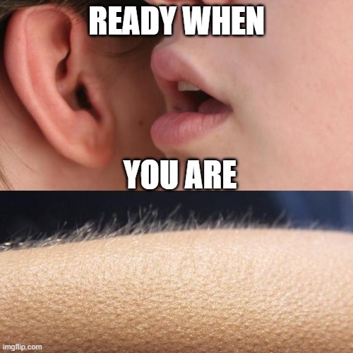 when she tells you she has finished packing | READY WHEN; YOU ARE | image tagged in whisper and goosebumps | made w/ Imgflip meme maker