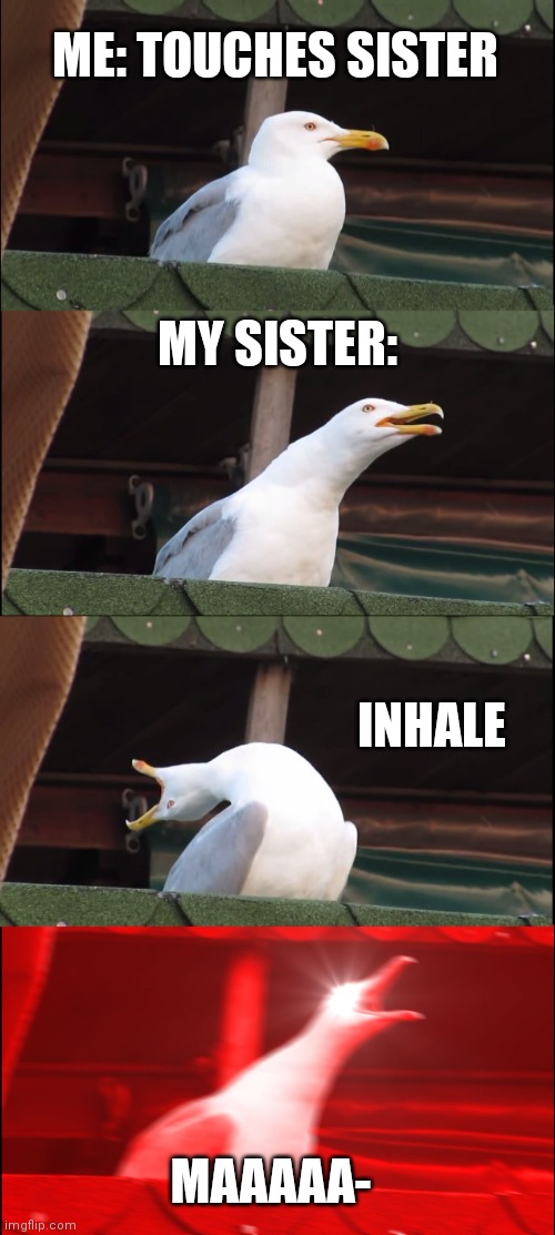 Inhaling Seagull | ME: TOUCHES SISTER; MY SISTER:; INHALE; MAAAAA- | image tagged in memes,inhaling seagull | made w/ Imgflip meme maker