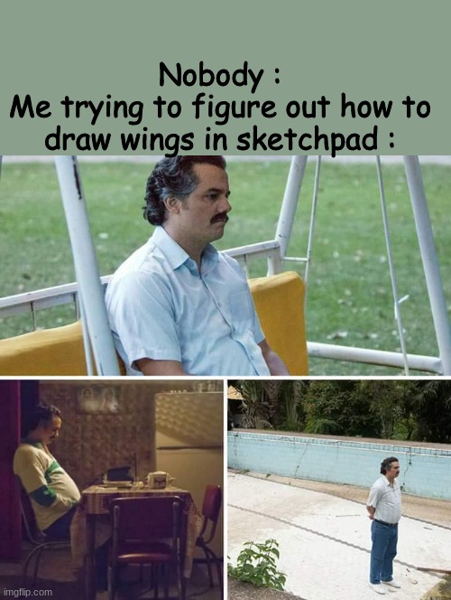 Sad Pablo Escobar Meme | Nobody :
Me trying to figure out how to draw wings in sketchpad : | image tagged in memes,sad pablo escobar | made w/ Imgflip meme maker