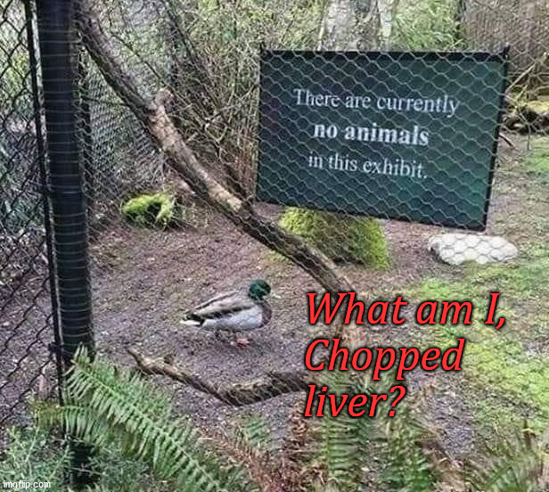 What am I, 
Chopped 
liver? | image tagged in ducks | made w/ Imgflip meme maker