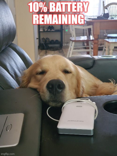 10% battery |  10% BATTERY REMAINING | image tagged in golden retriever | made w/ Imgflip meme maker