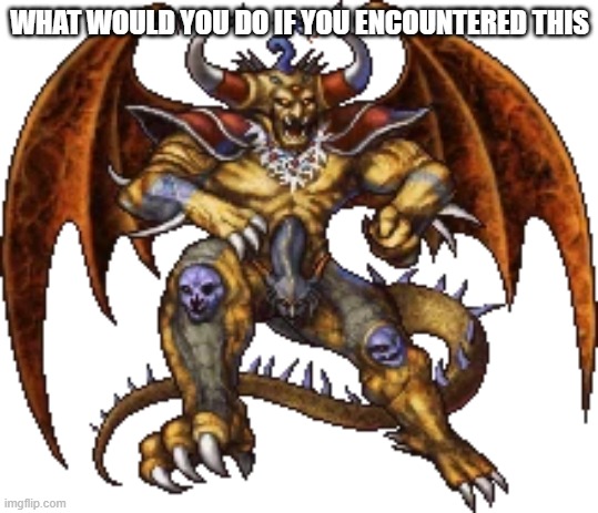 WHAT WOULD YOU DO IF YOU ENCOUNTERED THIS | image tagged in chaos from ffi | made w/ Imgflip meme maker