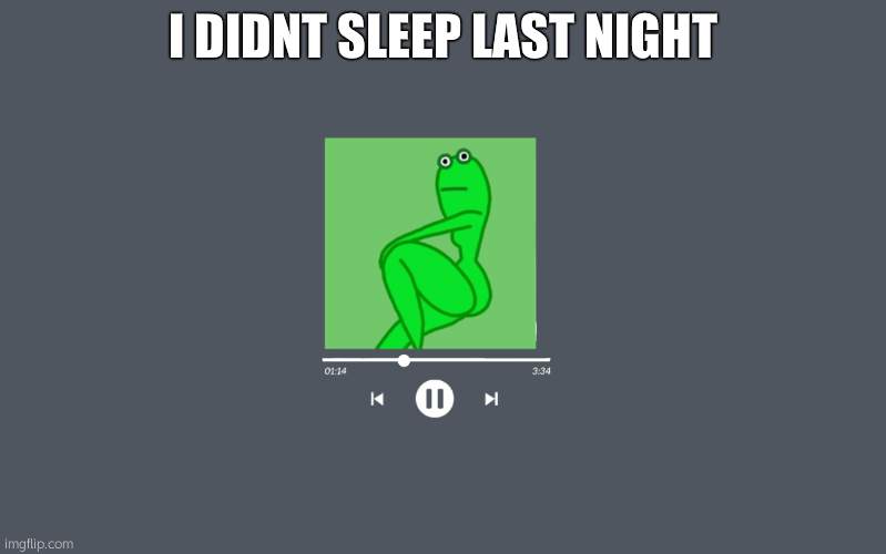 thicc frog | I DIDNT SLEEP LAST NIGHT | image tagged in thicc frog | made w/ Imgflip meme maker