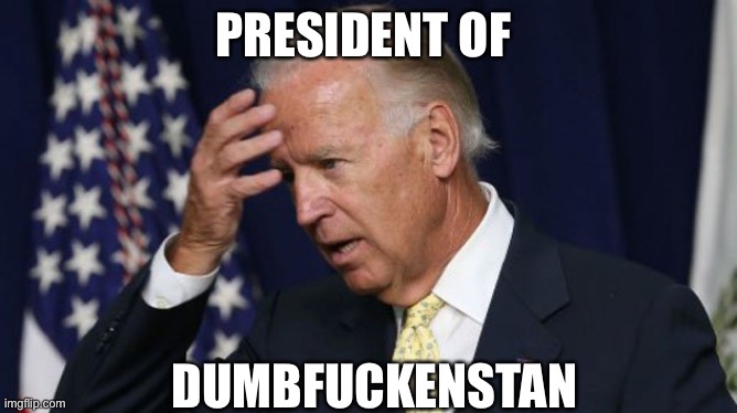 Joe Biden worries | PRESIDENT OF DUMBFUCKENSTAN | image tagged in joe biden worries | made w/ Imgflip meme maker