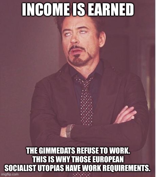 Face You Make Robert Downey Jr Meme | INCOME IS EARNED THE GIMMEDATS REFUSE TO WORK. THIS IS WHY THOSE EUROPEAN SOCIALIST UTOPIAS HAVE WORK REQUIREMENTS. | image tagged in memes,face you make robert downey jr | made w/ Imgflip meme maker