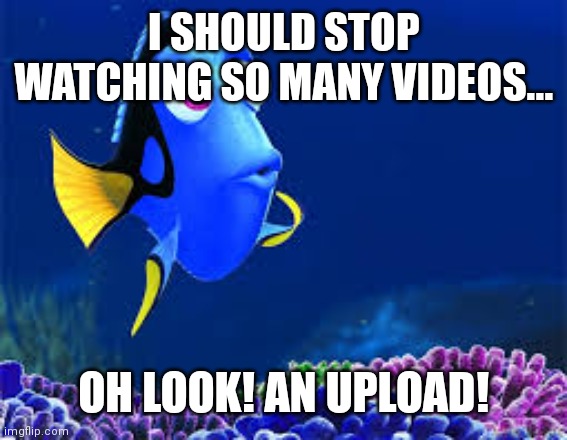 Dory | I SHOULD STOP WATCHING SO MANY VIDEOS... OH LOOK! AN UPLOAD! | image tagged in disney confirmed | made w/ Imgflip meme maker