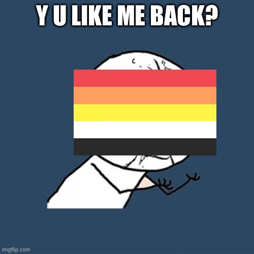 I don’t think we lithos get quite this upset | Y U LIKE ME BACK? | image tagged in memes,y u no | made w/ Imgflip meme maker