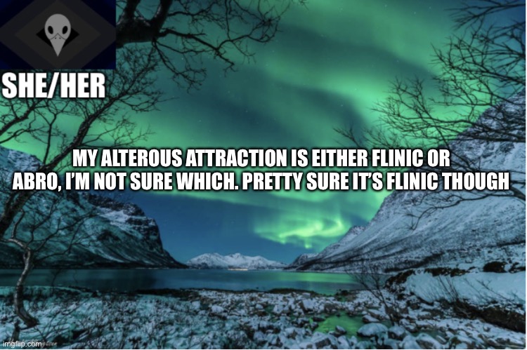 Northern Lights Termcollector Template | MY ALTEROUS ATTRACTION IS EITHER FLINIC OR ABRO, I’M NOT SURE WHICH. PRETTY SURE IT’S FLINIC THOUGH | image tagged in northern lights termcollector template | made w/ Imgflip meme maker