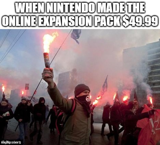 the switch expansion pack is too expensive | WHEN NINTENDO MADE THE ONLINE EXPANSION PACK $49.99 | image tagged in protest,expansion pack | made w/ Imgflip meme maker