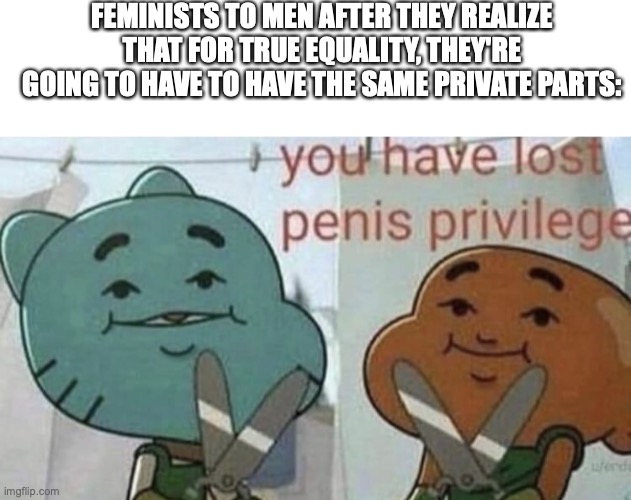 shitpost | FEMINISTS TO MEN AFTER THEY REALIZE THAT FOR TRUE EQUALITY, THEY'RE GOING TO HAVE TO HAVE THE SAME PRIVATE PARTS: | image tagged in blank white template,you have lost p nis privilege | made w/ Imgflip meme maker