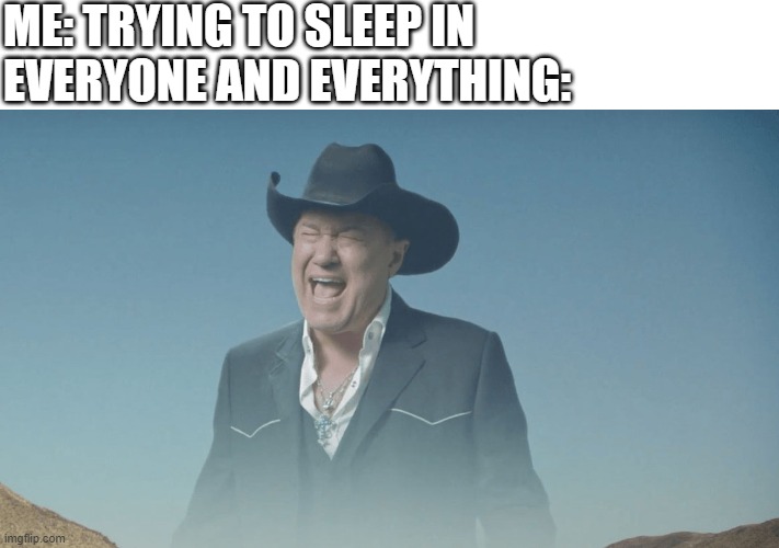 when you're trying to sleep in |  ME: TRYING TO SLEEP IN
EVERYONE AND EVERYTHING: | image tagged in screaming cowboy,sleeping,noise | made w/ Imgflip meme maker