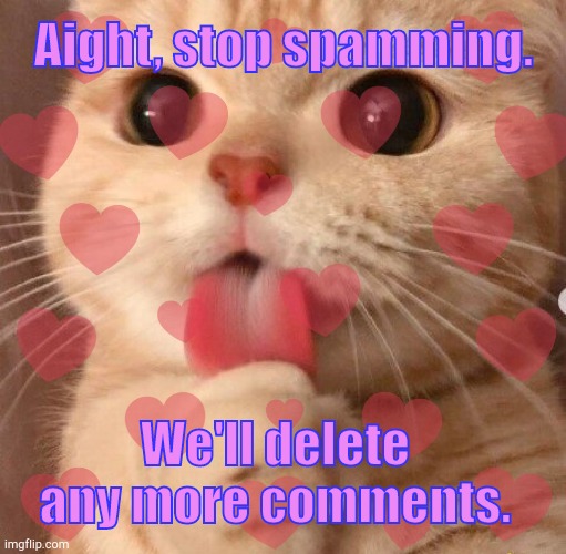 . | Aight, stop spamming. We'll delete any more comments. | image tagged in tell me about it | made w/ Imgflip meme maker