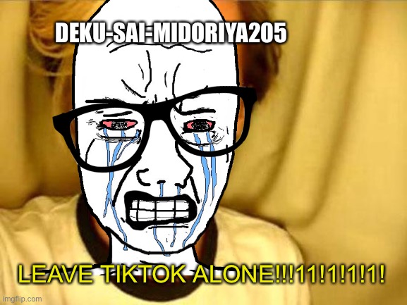 deku sai midoryia in a nutshell | DEKU-SAI-MIDORIYA205; LEAVE TIKTOK ALONE!!!11!1!1!1! | image tagged in lol,no bullshit business baby,hahaha,memes | made w/ Imgflip meme maker