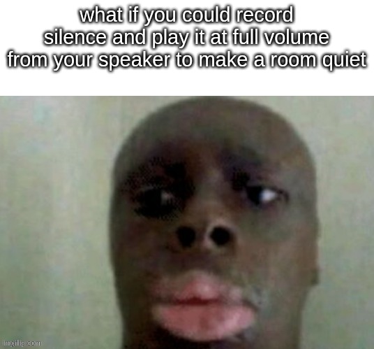 theory | what if you could record silence and play it at full volume from your speaker to make a room quiet | image tagged in hmmm | made w/ Imgflip meme maker