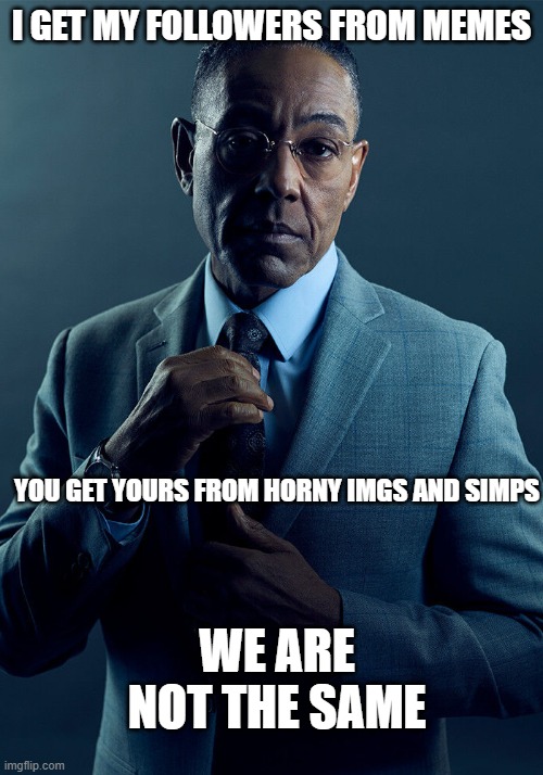 Gus Fring we are not the same | I GET MY FOLLOWERS FROM MEMES; YOU GET YOURS FROM HORNY IMGS AND SIMPS; WE ARE NOT THE SAME | image tagged in gus fring we are not the same | made w/ Imgflip meme maker