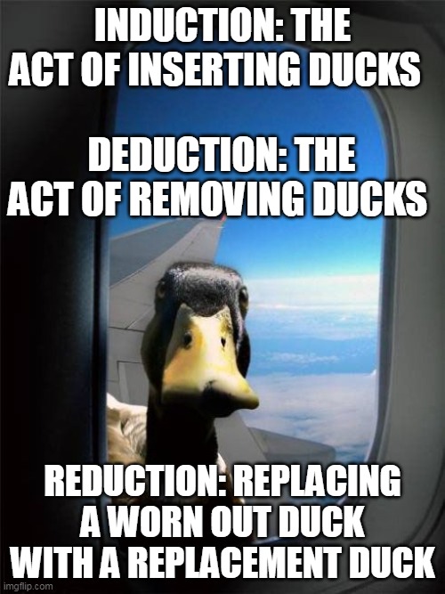 ducktion | INDUCTION: THE ACT OF INSERTING DUCKS; DEDUCTION: THE ACT OF REMOVING DUCKS; REDUCTION: REPLACING A WORN OUT DUCK WITH A REPLACEMENT DUCK | image tagged in let me in duck | made w/ Imgflip meme maker