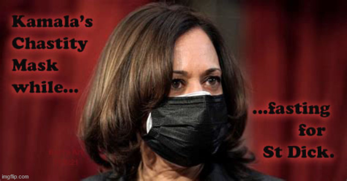 The Chaste And Ever Ready For A Gig Vp Of The Usa Kamala Bj Harris Imgflip 8747