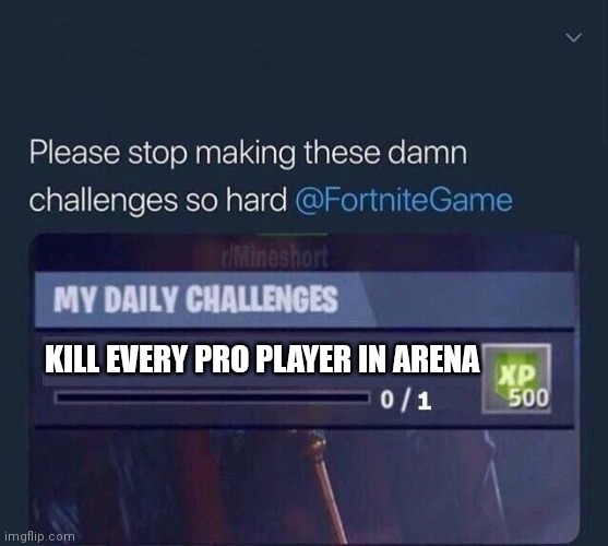 Challenges | KILL EVERY PRO PLAYER IN ARENA | image tagged in fortnite challenge | made w/ Imgflip meme maker