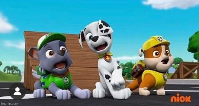 Paw Patrol Shocked Rocky, Marshall, and Rubble | image tagged in paw patrol shocked rocky marshall and rubble | made w/ Imgflip meme maker