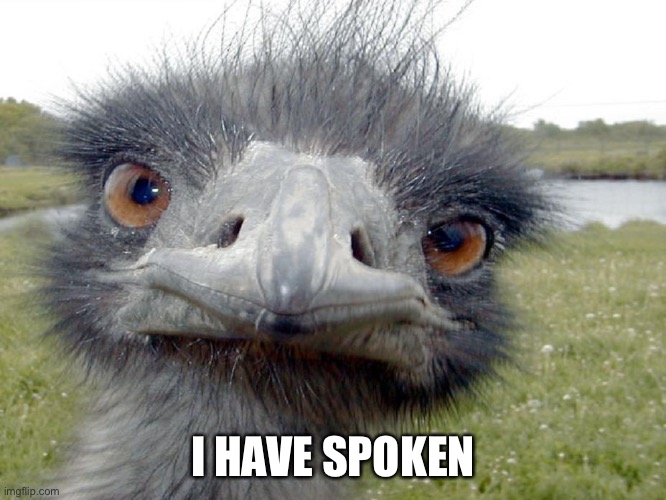 Emu has spoken | I HAVE SPOKEN | image tagged in emu head brah whats up,spoken | made w/ Imgflip meme maker