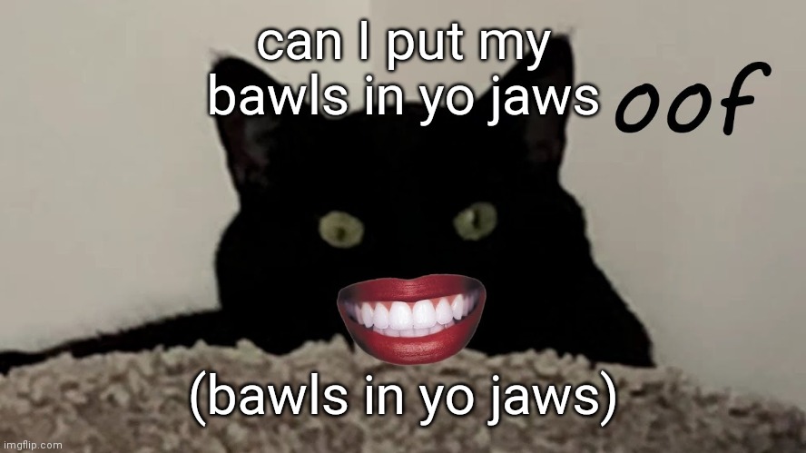 it's stuck in my head | can I put my bawls in yo jaws; (bawls in yo jaws) | image tagged in oof | made w/ Imgflip meme maker