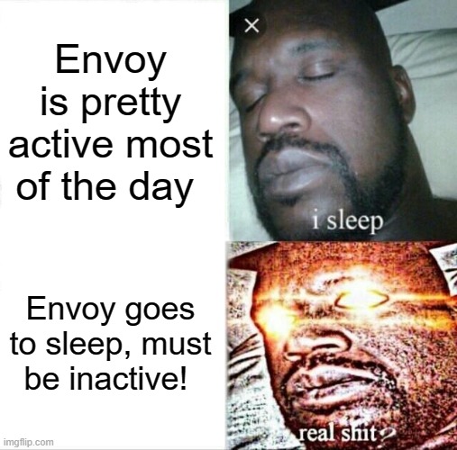 i go to sleep and apparently that makes me inactive lol | Envoy is pretty active most of the day; Envoy goes to sleep, must be inactive! | image tagged in memes,sleeping shaq | made w/ Imgflip meme maker