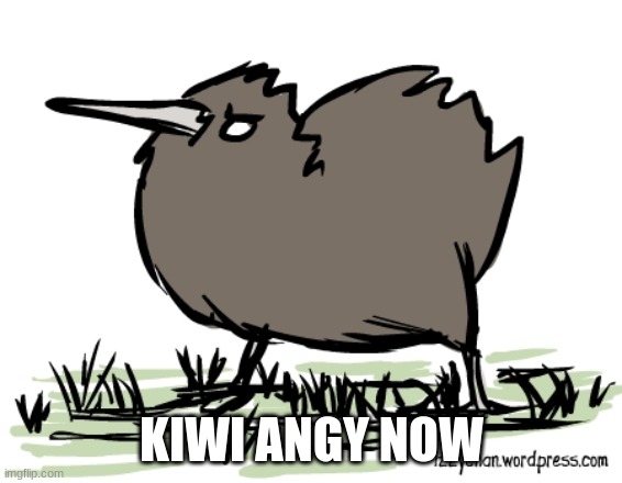 KIWI ANGY NOW | made w/ Imgflip meme maker