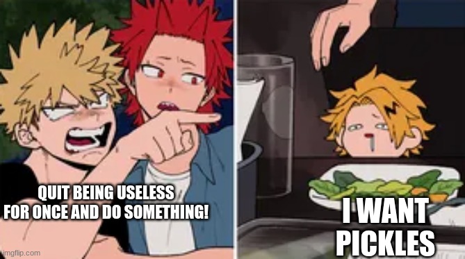 Lol. | QUIT BEING USELESS FOR ONCE AND DO SOMETHING! I WANT PICKLES | image tagged in bakugo yelling at denki | made w/ Imgflip meme maker