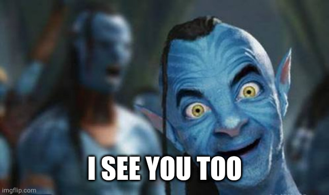 Avatar funny | I SEE YOU TOO | image tagged in avatar funny | made w/ Imgflip meme maker