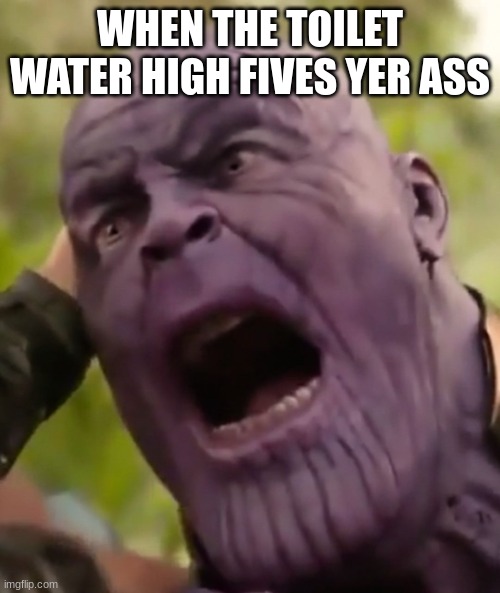 thanos scream | WHEN THE TOILET WATER HIGH FIVES YER ASS | image tagged in thanos scream | made w/ Imgflip meme maker