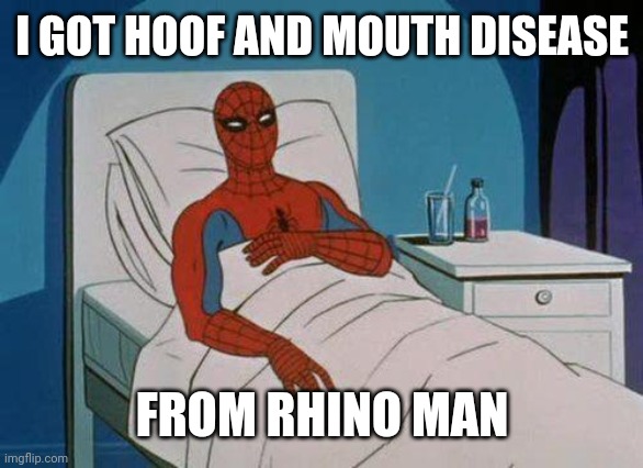 Spiderman Hospital |  I GOT HOOF AND MOUTH DISEASE; FROM RHINO MAN | image tagged in memes,spiderman hospital,spiderman | made w/ Imgflip meme maker