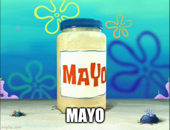 Mayonnaise | MAYO | image tagged in mayonnaise | made w/ Imgflip meme maker