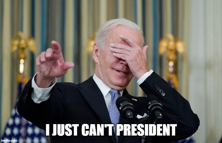Idiot Joe Biden Facepalm | I JUST CAN'T PRESIDENT | image tagged in idiot joe biden facepalm | made w/ Imgflip meme maker
