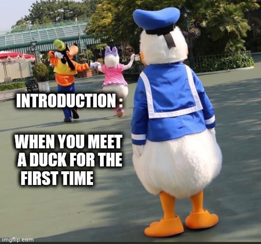 Goofy, Donald Duck, Daisy Duck | INTRODUCTION : WHEN YOU MEET
   A DUCK FOR THE
    FIRST TIME | image tagged in goofy donald duck daisy duck | made w/ Imgflip meme maker