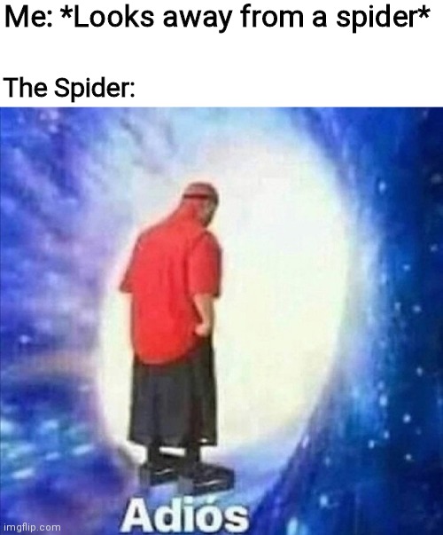 Spiders in a nutshell | Me: *Looks away from a spider*; The Spider: | image tagged in adios,spider | made w/ Imgflip meme maker